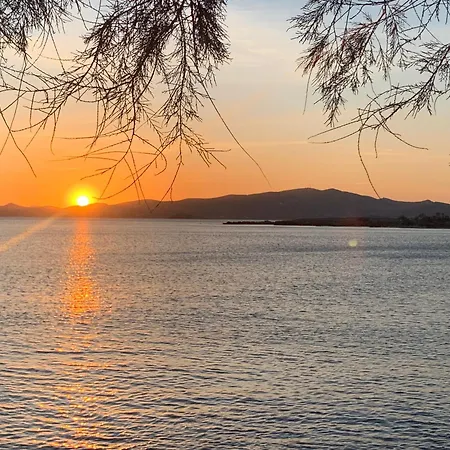 Apartment Right On The Beach- Beachfront-best Unit -paros
